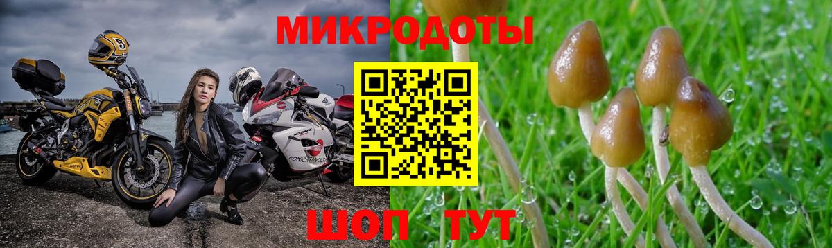 Псилоцибиновые грибы мицелий  продажа наркотиков  Тверь  Вход с VPN 